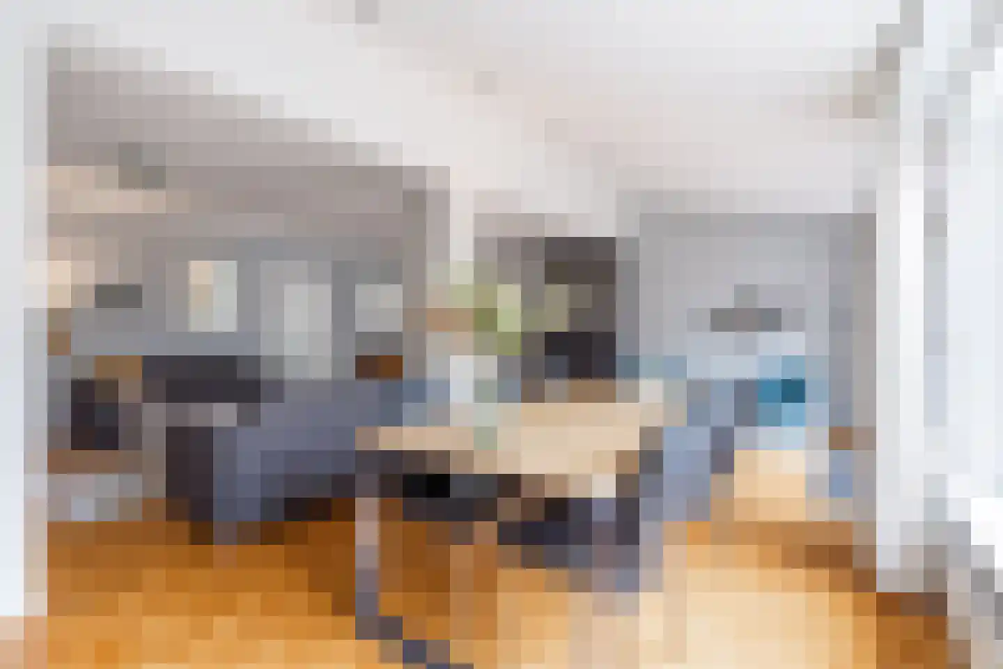 Steijnlaan 50 Breda thumbnail 14