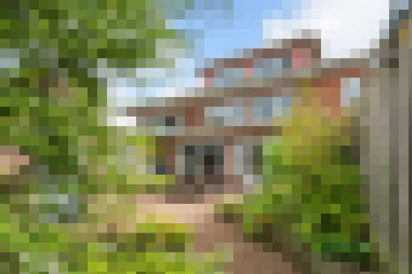 Steijnlaan 50 Breda foto 2