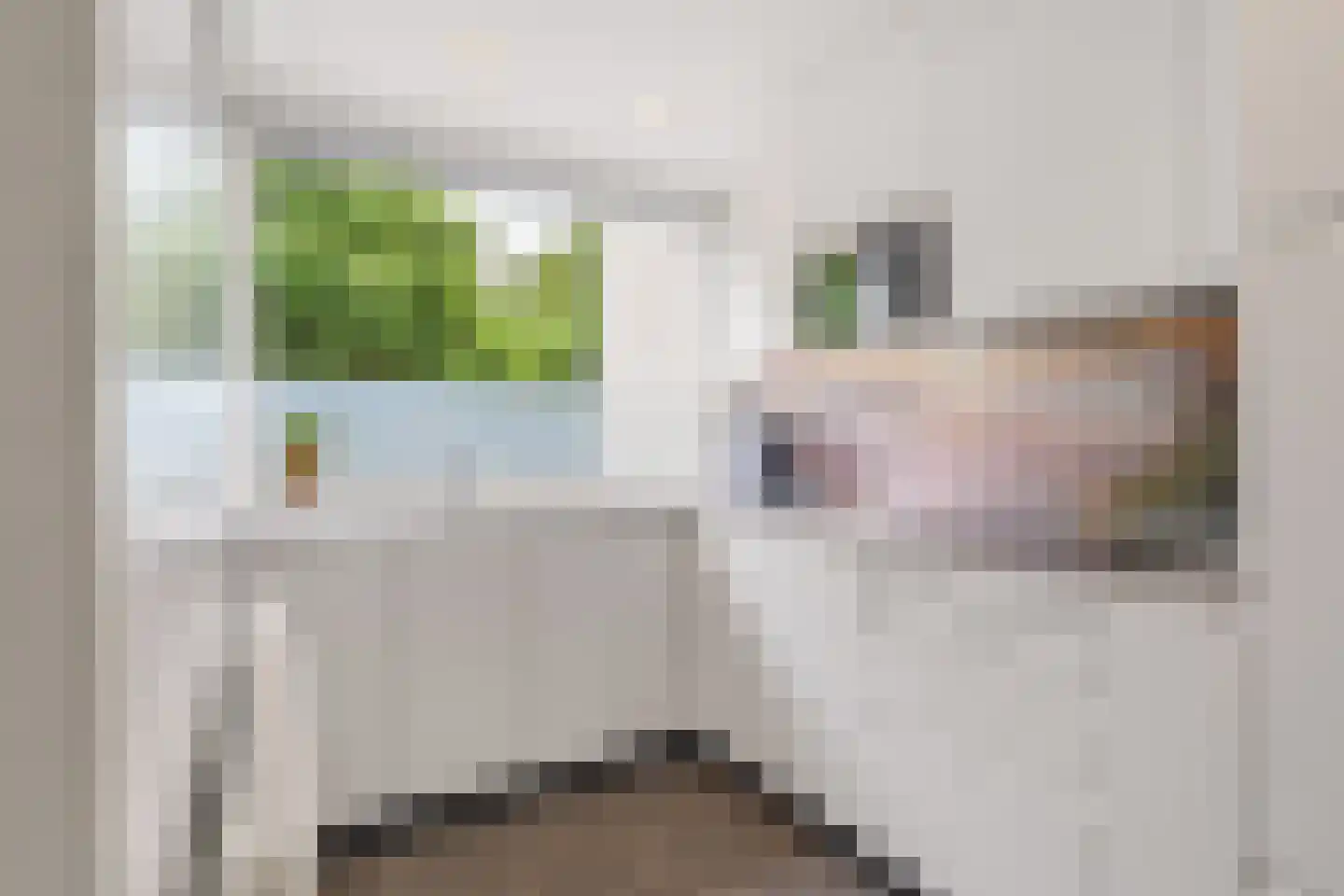 Steijnlaan 50 Breda thumbnail 21