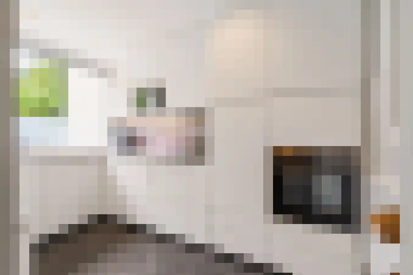Steijnlaan 50 Breda thumbnail 22
