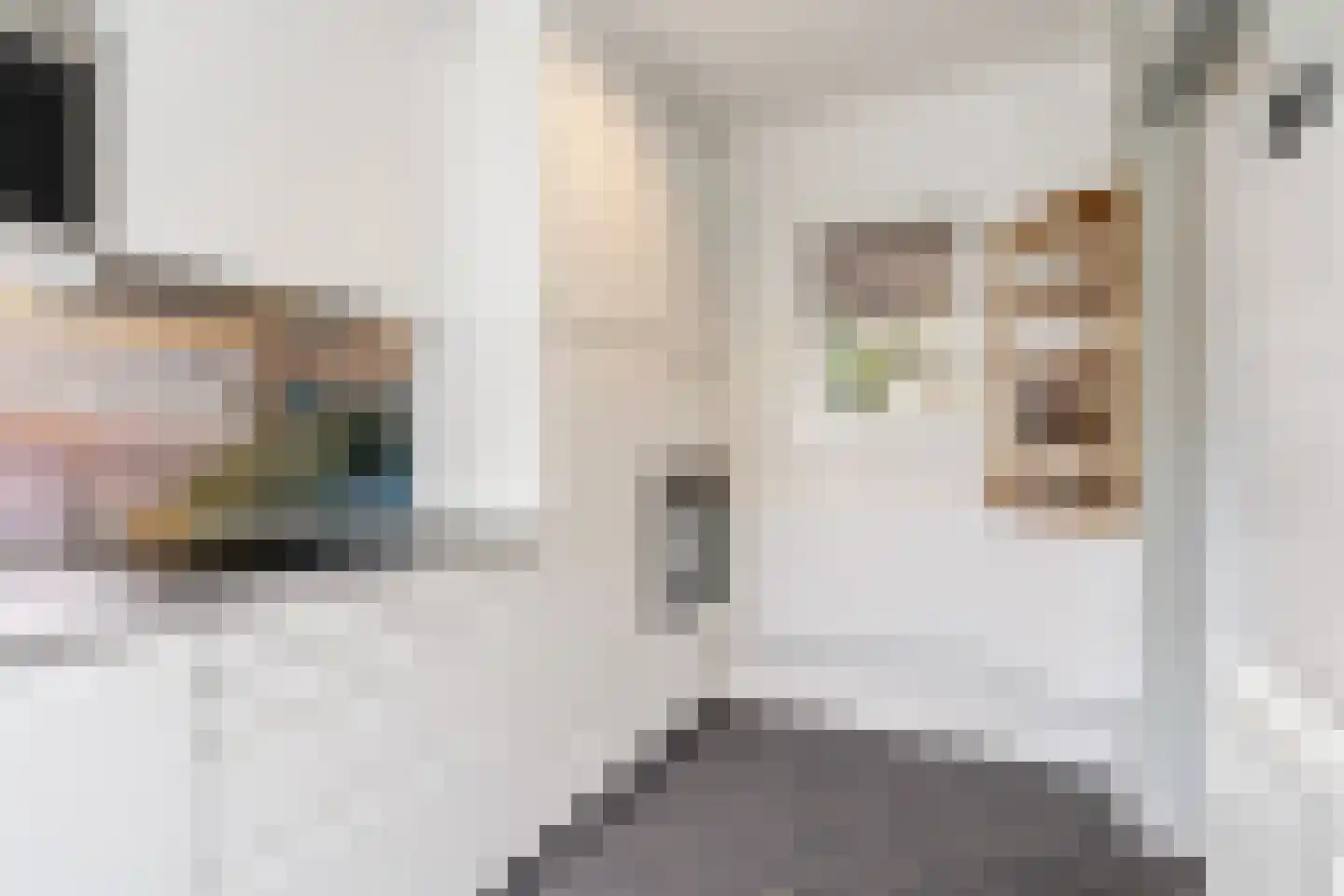 Steijnlaan 50 Breda thumbnail 23