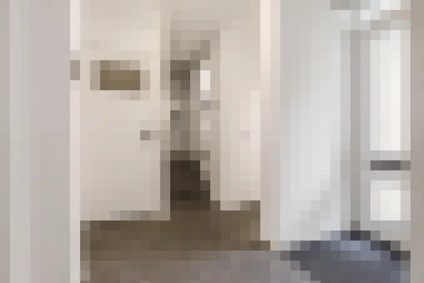 Steijnlaan 50 Breda thumbnail 27