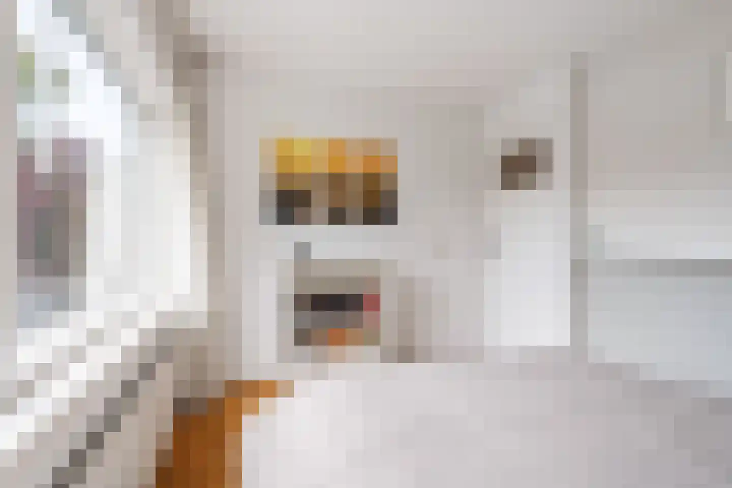 Steijnlaan 50 Breda thumbnail 30