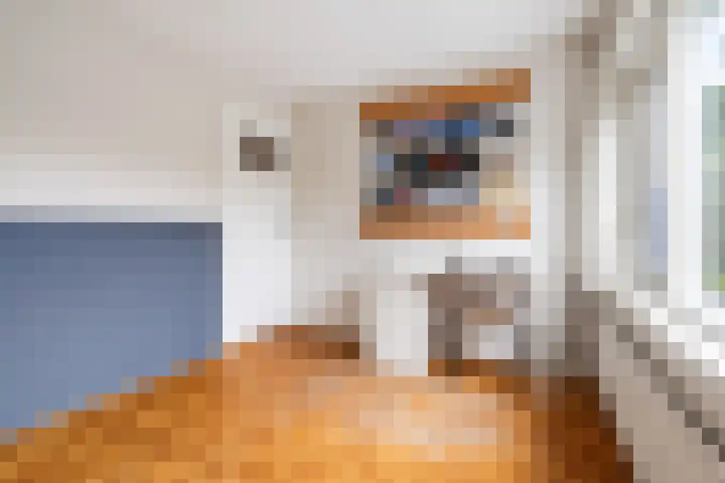 Steijnlaan 50 Breda thumbnail 43