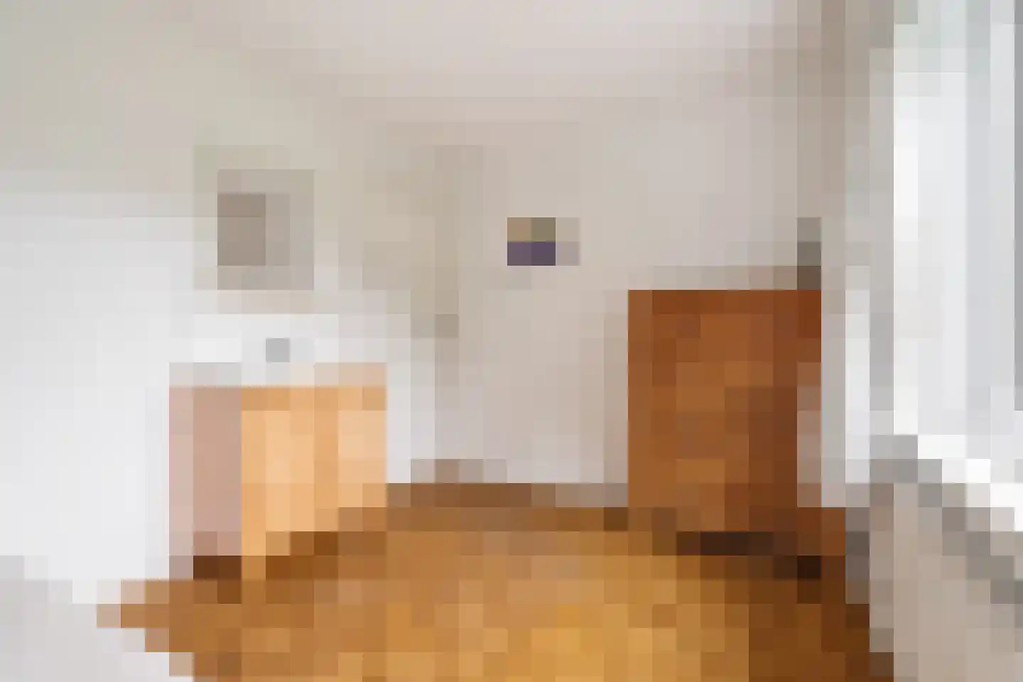 Steijnlaan 50 Breda thumbnail 45
