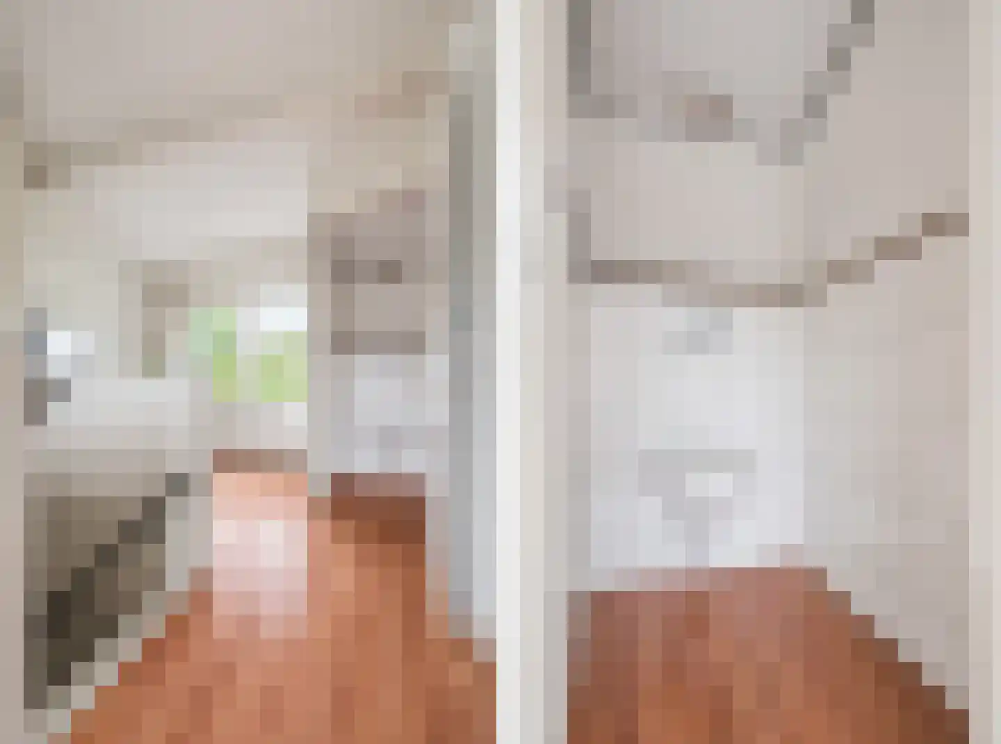 Steijnlaan 50 Breda thumbnail 47