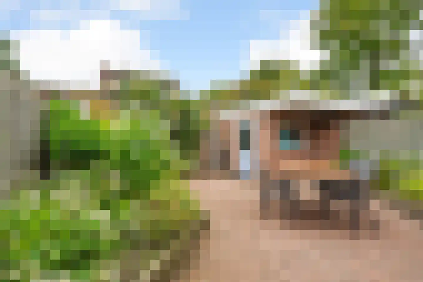 Steijnlaan 50 Breda thumbnail 54