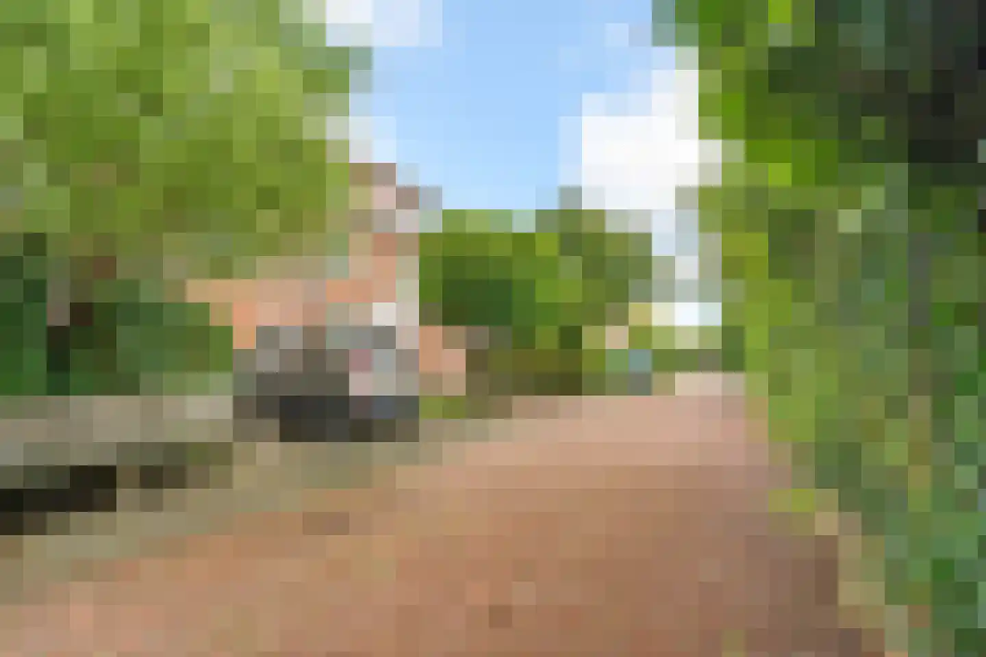 Steijnlaan 50 Breda thumbnail 59