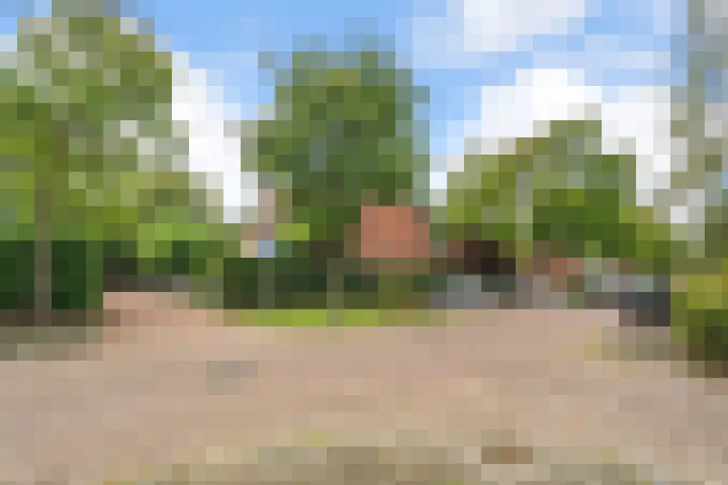 Steijnlaan 50 Breda thumbnail 61