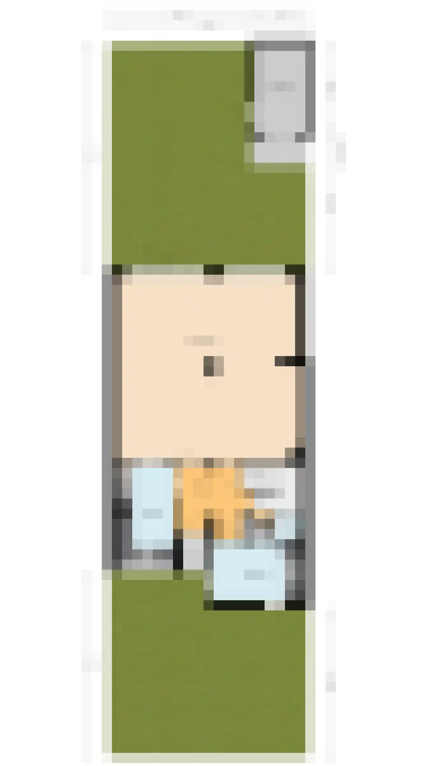 Steijnlaan 50 Breda thumbnail 68