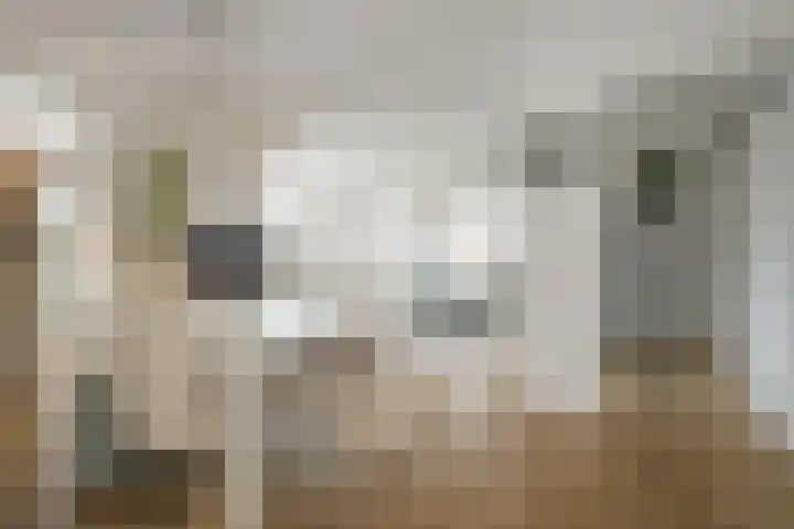 Steijnlaan 64 A Breda thumbnail 12