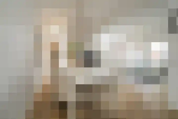 Steijnlaan 64 A Breda thumbnail 15