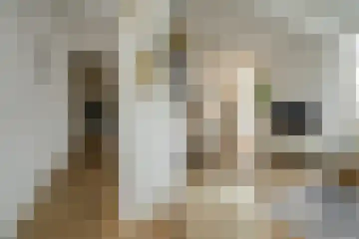 Steijnlaan 64 A Breda thumbnail 19