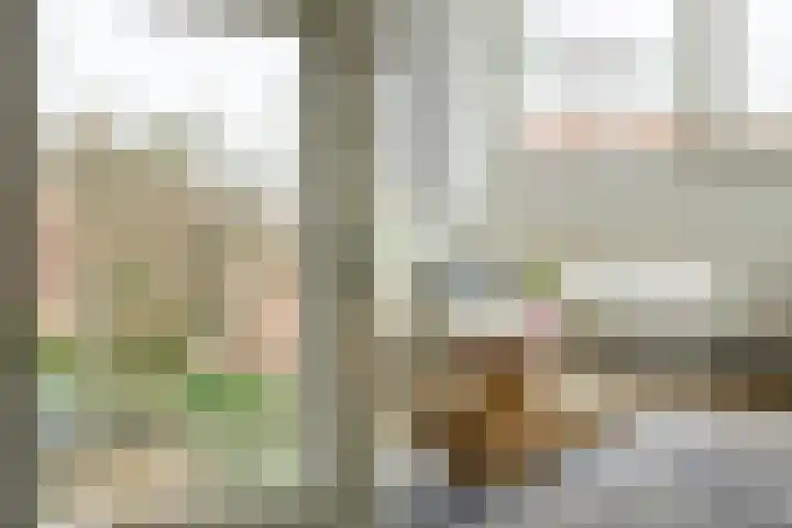 Steijnlaan 64 A Breda thumbnail 21
