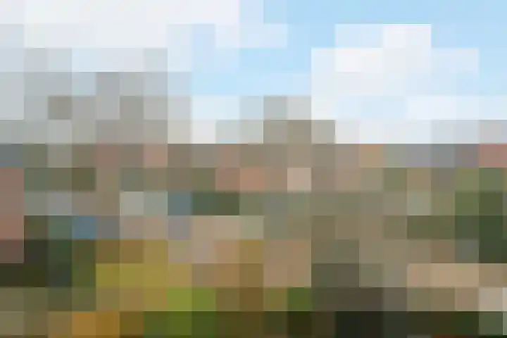 Steijnlaan 64 A Breda thumbnail 26