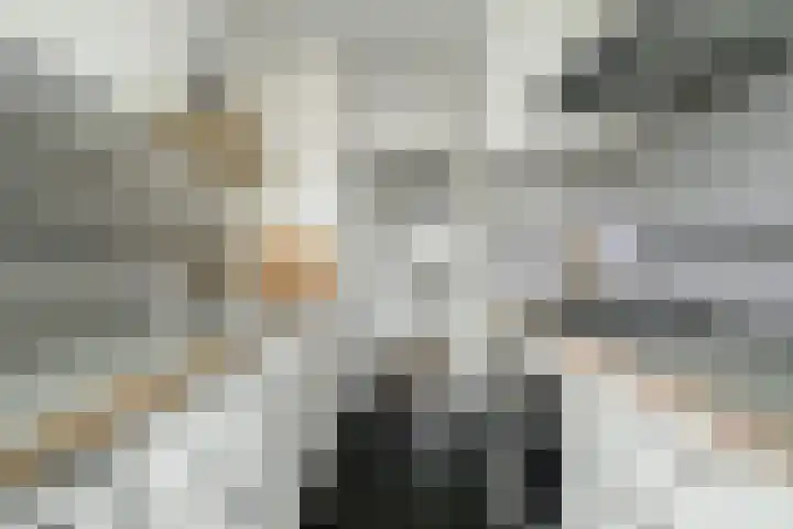 Steijnlaan 64 A Breda thumbnail 27