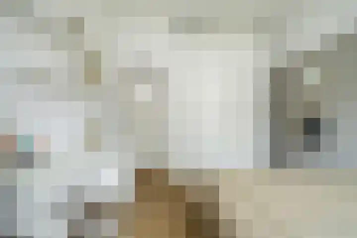 Steijnlaan 64 A Breda thumbnail 30