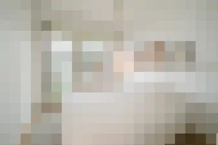 Steijnlaan 64 A Breda thumbnail 35