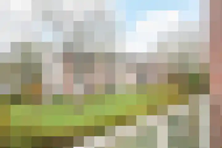 Steijnlaan 64 A Breda thumbnail 37