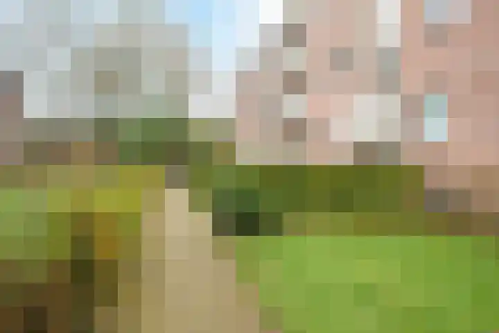 Steijnlaan 64 A Breda thumbnail 43
