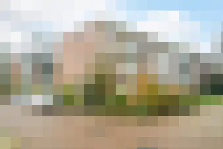 Steijnlaan 64 A Breda thumbnail 44