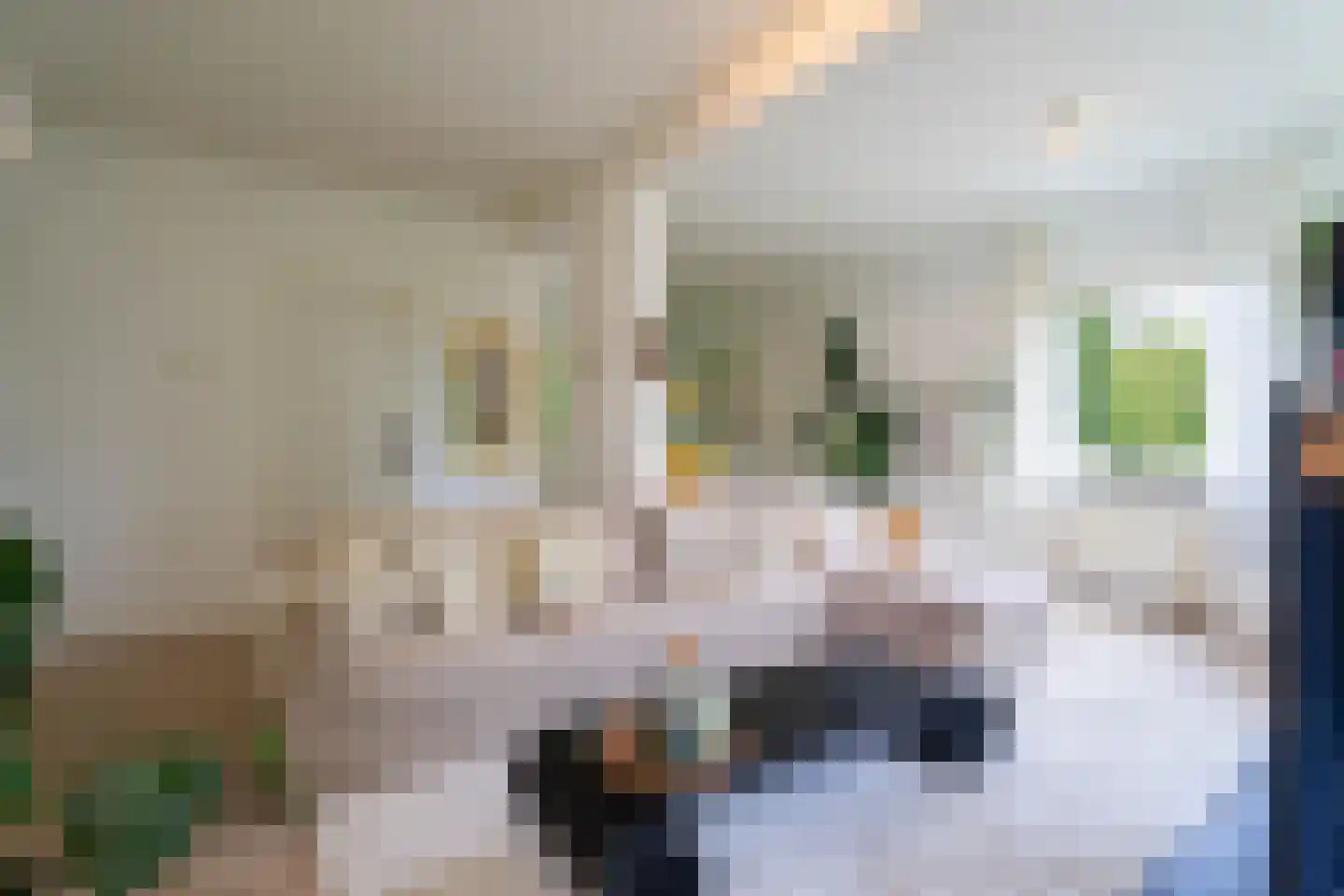 Steijnlaan 70 B Breda thumbnail 11