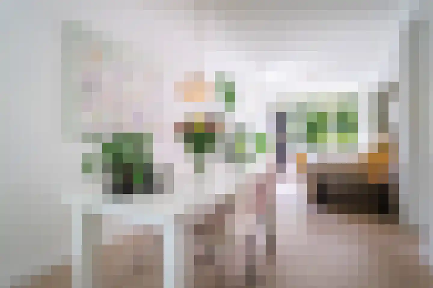 Steijnlaan 70 B Breda thumbnail 13