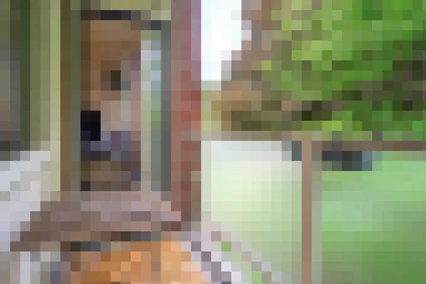 Steijnlaan 70 B Breda thumbnail 14