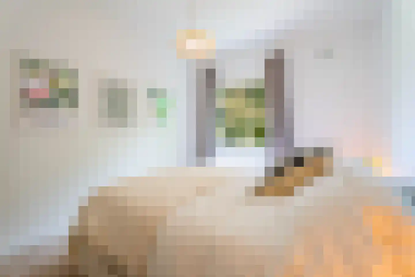 Steijnlaan 70 B Breda thumbnail 17