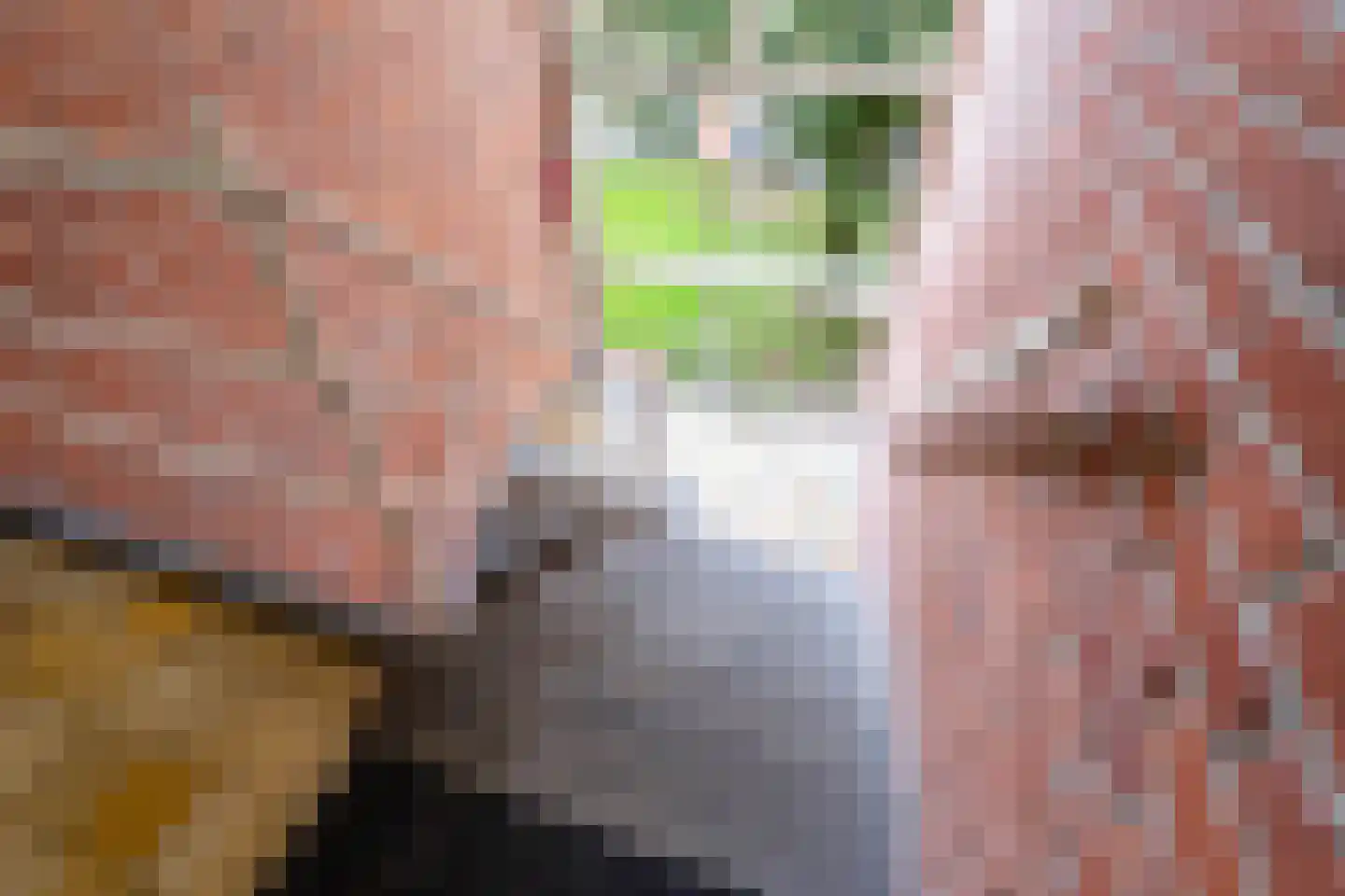 Steijnlaan 70 B Breda thumbnail 28