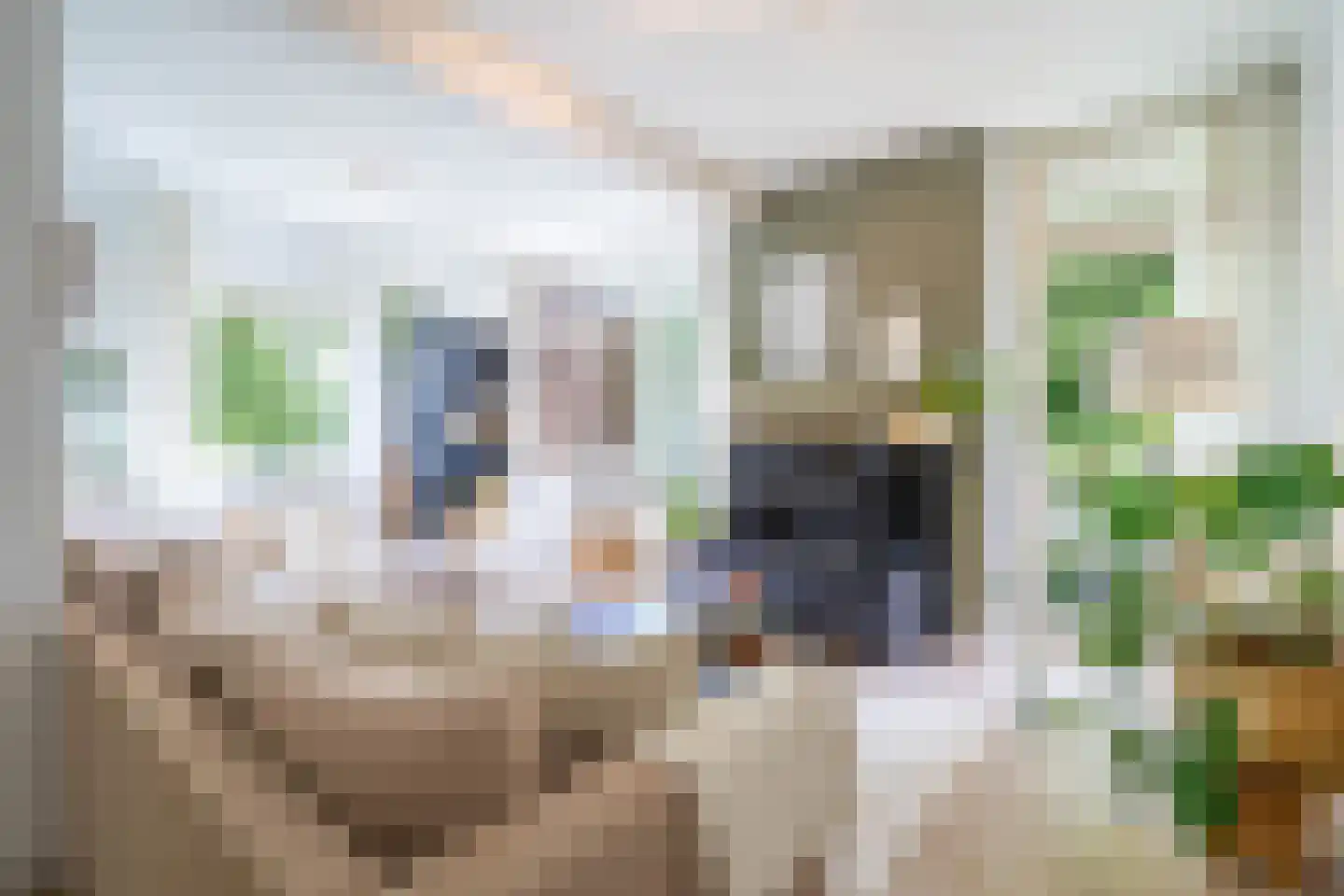 Steijnlaan 70 B Breda thumbnail 9