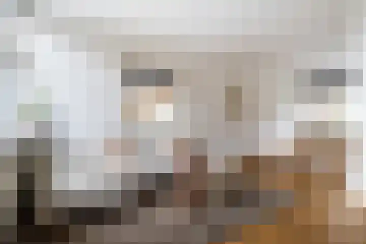 Steijnlaan 72 Breda thumbnail 13