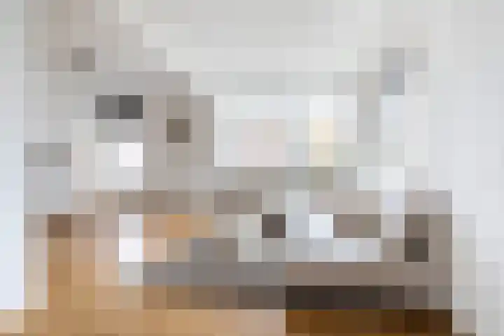 Steijnlaan 72 Breda thumbnail 15
