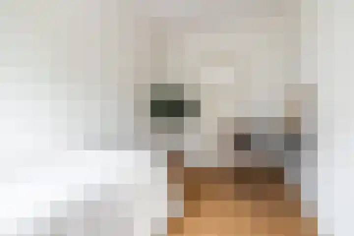 Steijnlaan 72 Breda thumbnail 24
