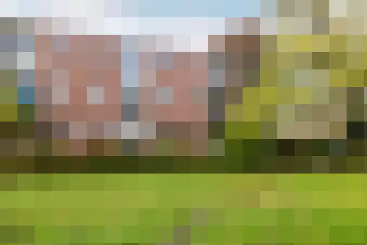 Steijnlaan 72 Breda thumbnail 27