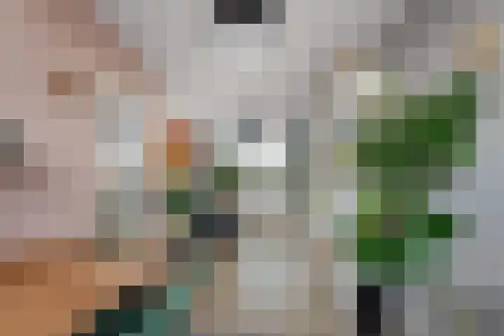 Steijnlaan 76 B Breda thumbnail 10