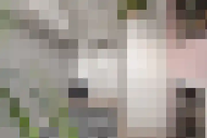 Steijnlaan 76 B Breda thumbnail 20