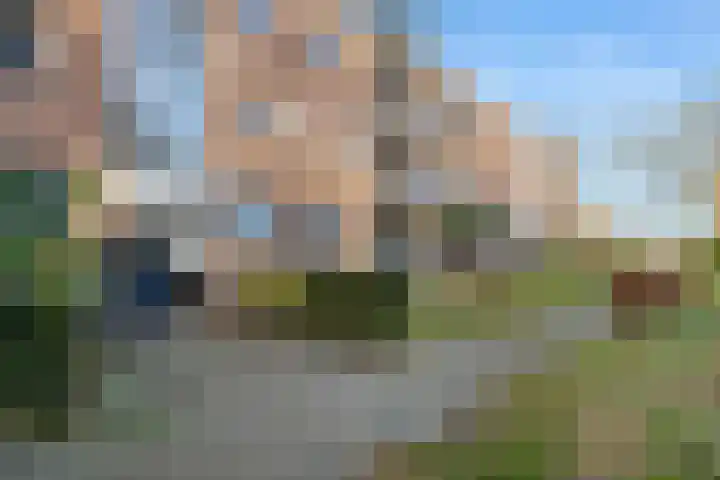 Steijnlaan 76 B Breda thumbnail 24
