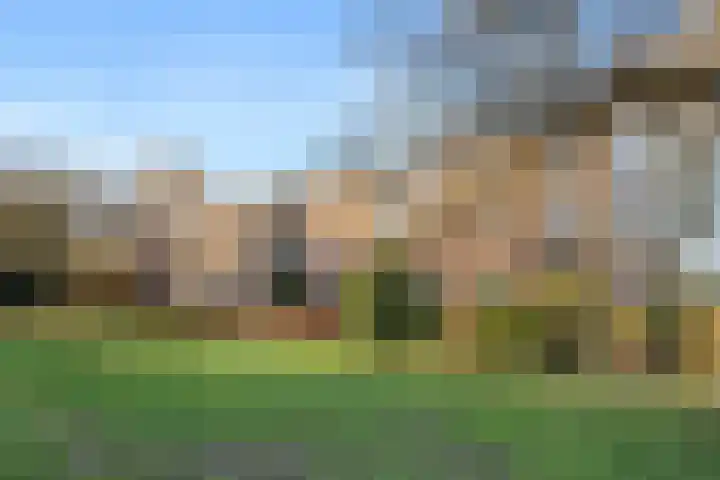 Steijnlaan 76 B Breda thumbnail 25