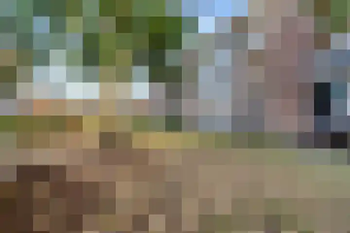 Steijnlaan 76 B Breda thumbnail 26