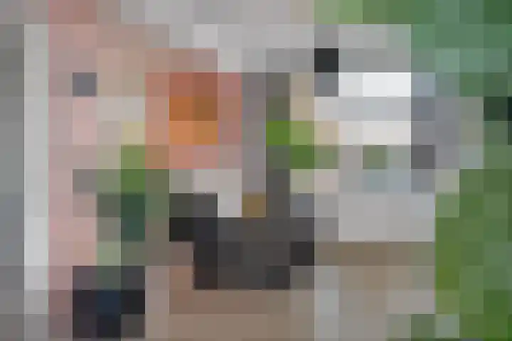 Steijnlaan 76 B Breda thumbnail 9