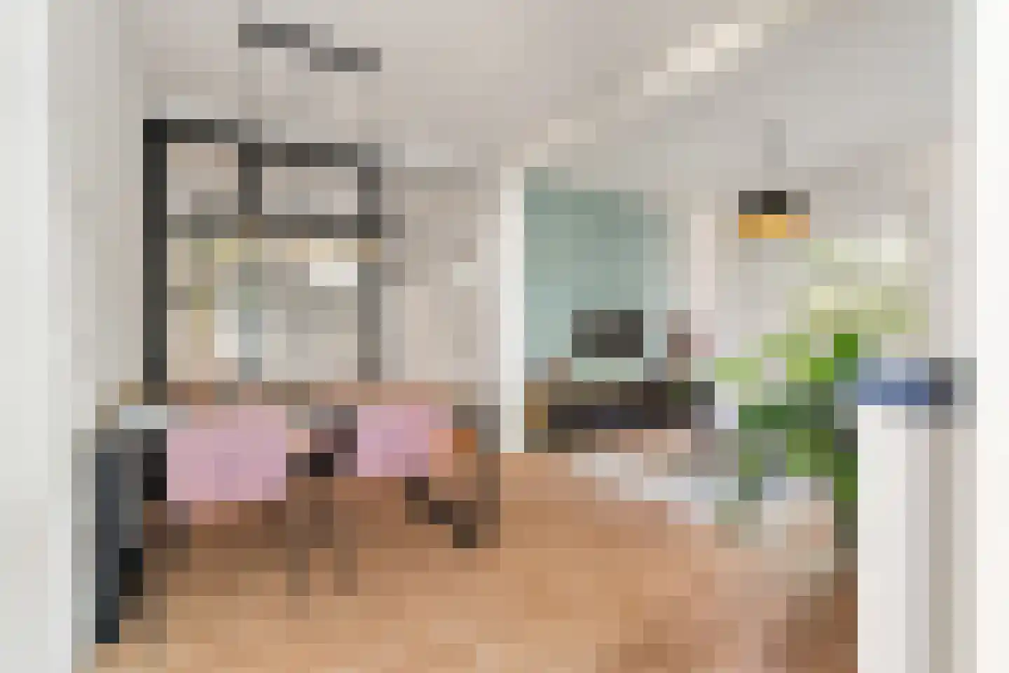 Steijnlaan 78 A Breda thumbnail 14