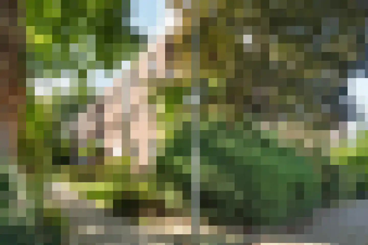 Steijnlaan 78 A Breda thumbnail 38