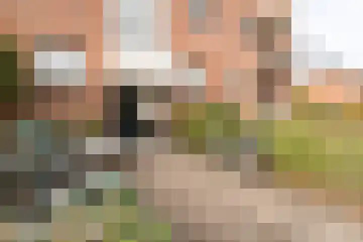 Steijnlaan 80 B Breda foto 3