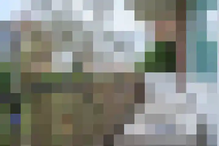 Steijnlaan 80 Breda thumbnail 13
