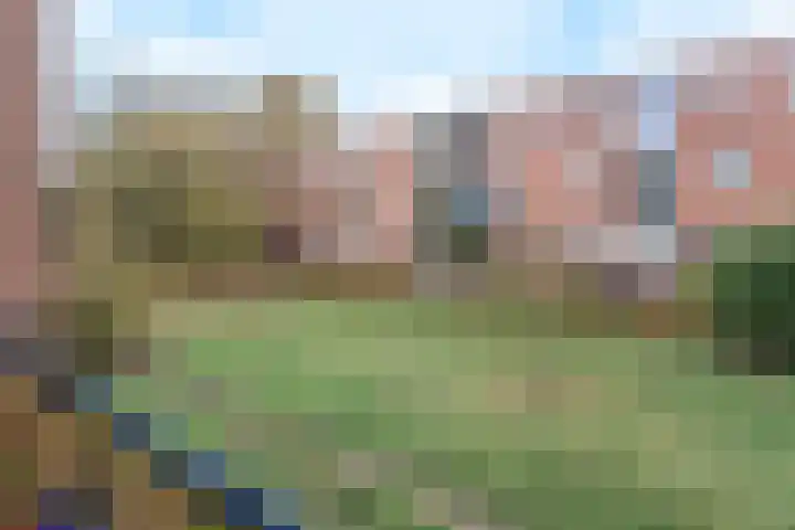 Steijnlaan 80 Breda thumbnail 15