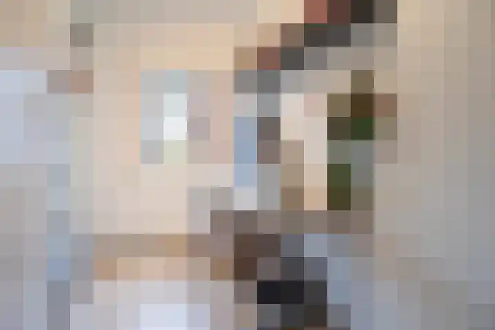 Steijnlaan 80 Breda thumbnail 18