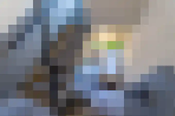 Steijnlaan 80 Breda thumbnail 23