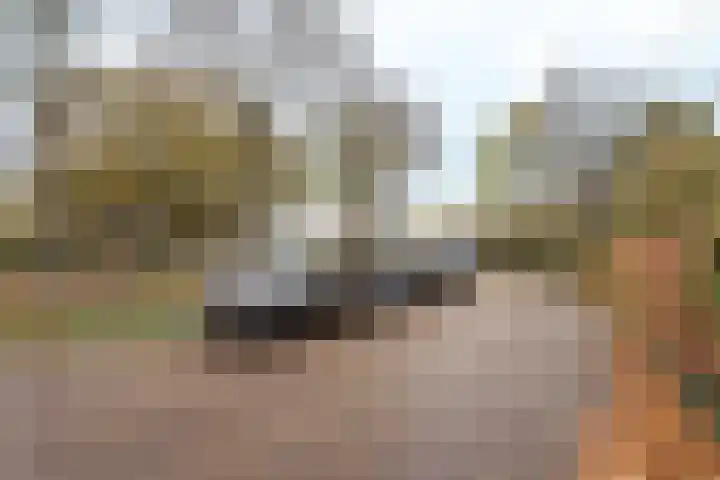 Steijnlaan 80 Breda thumbnail 25
