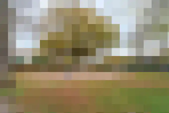 Steijnlaan 80 Breda thumbnail 26
